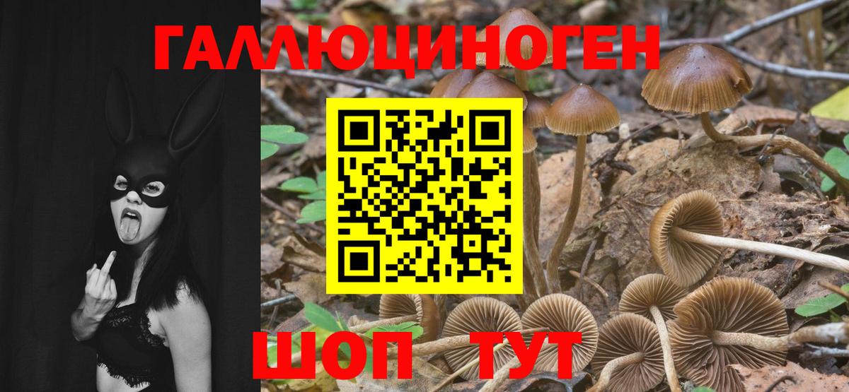 Псилоцибиновые грибы MAGIC MUSHROOMS Реж