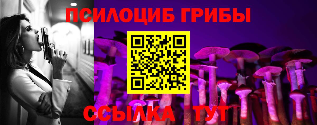 Псилоцибиновые грибы MAGIC MUSHROOMS  Галлюциногенные грибы Psilocybe  купить   Реж  Вход с VPN 